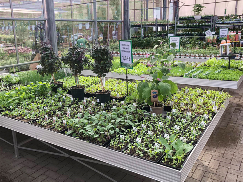 Gemüse & Hochbeet Gartencenter Köln nahe Dormagen und Pulheim