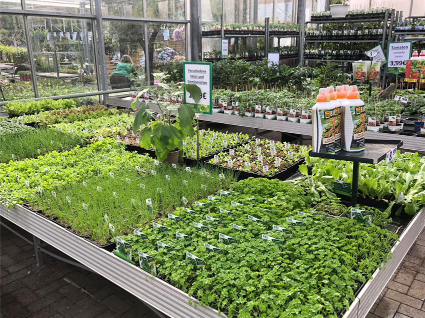 Gemüse & Hochbeet Gartencenter Köln nahe Dormagen und Pulheim