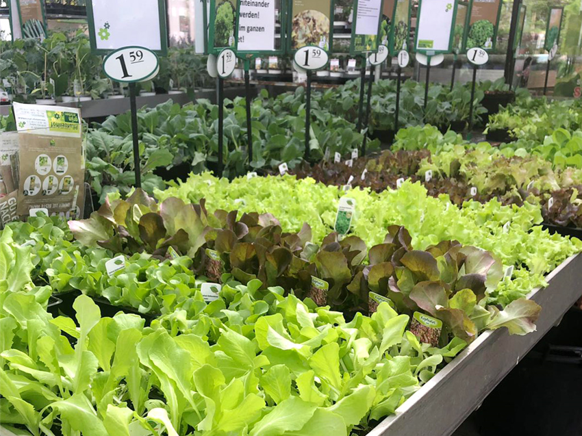 Gemüse & Hochbeet Gartencenter Köln nahe Dormagen und Pulheim