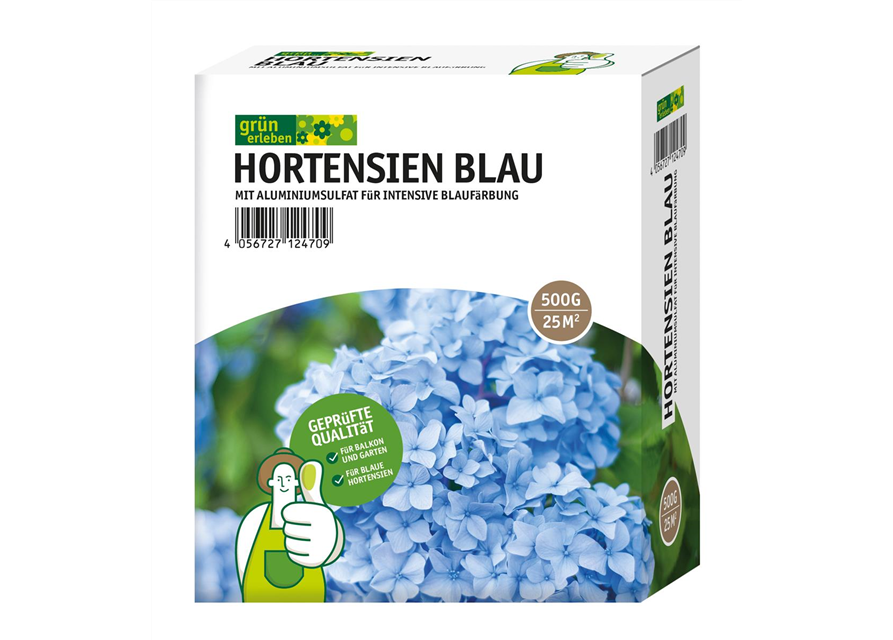 Hortensien Blau, Grün erleben