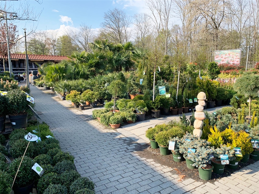 Baumschule im Gartencenter Köln nahe Dormagen