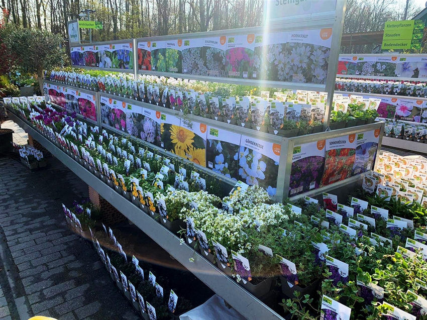 Baumschule im Gartencenter Köln nahe Dormagen