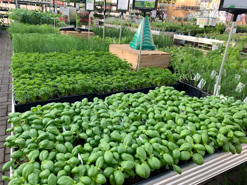Gemüse & Hochbeet Gartencenter Köln nahe Dormagen und Pulheim