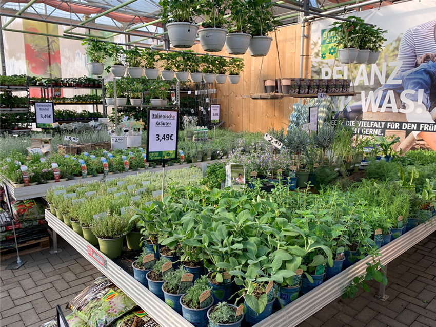 Gemüse & Hochbeet Gartencenter Köln nahe Dormagen und Pulheim