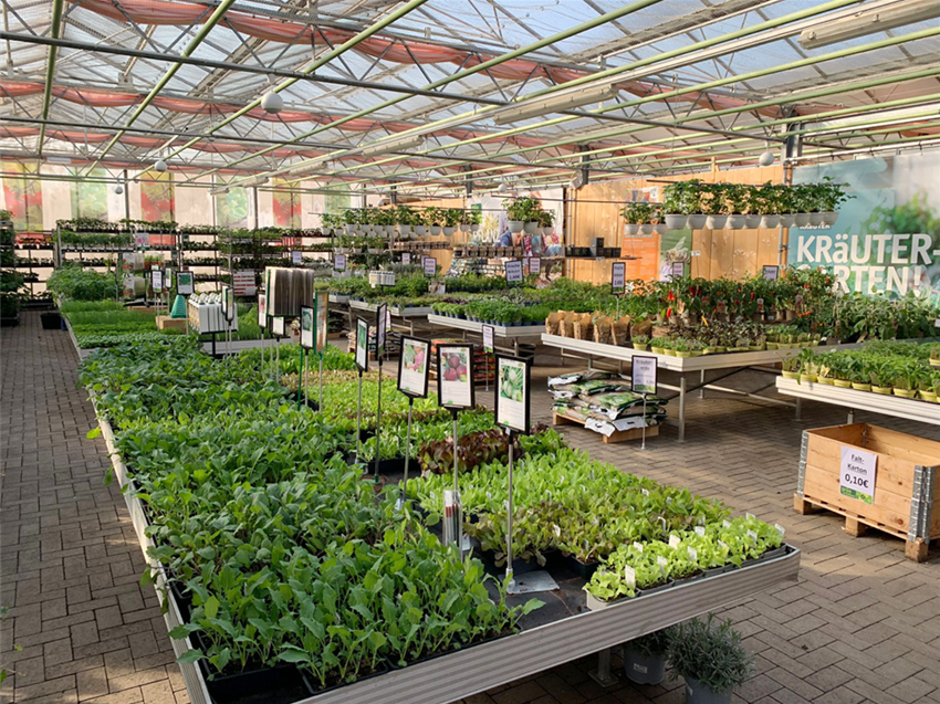 Gemüse & Hochbeet Gartencenter Köln nahe Dormagen und Pulheim