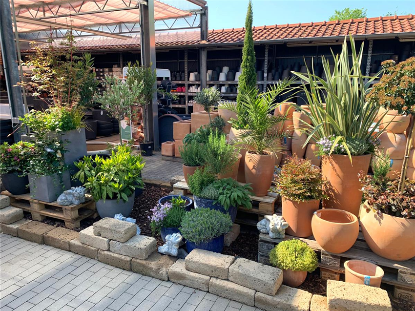 Pflanzkübel und Übertöpfe im Gartencenter Köln bei Dormagen