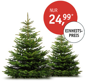 Teaser_WBaum280x270px.jpg Teaser_WBaum280x270px.jpg