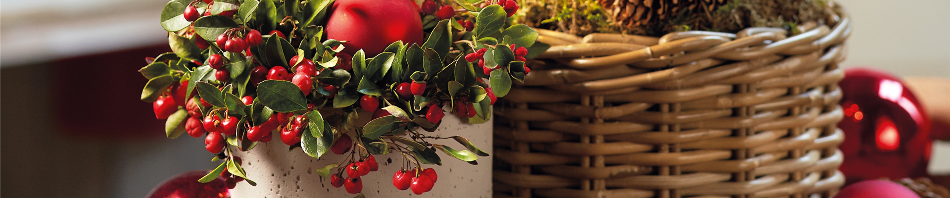 WINTERZAUBER AUF BALKON & TERRASSE! 