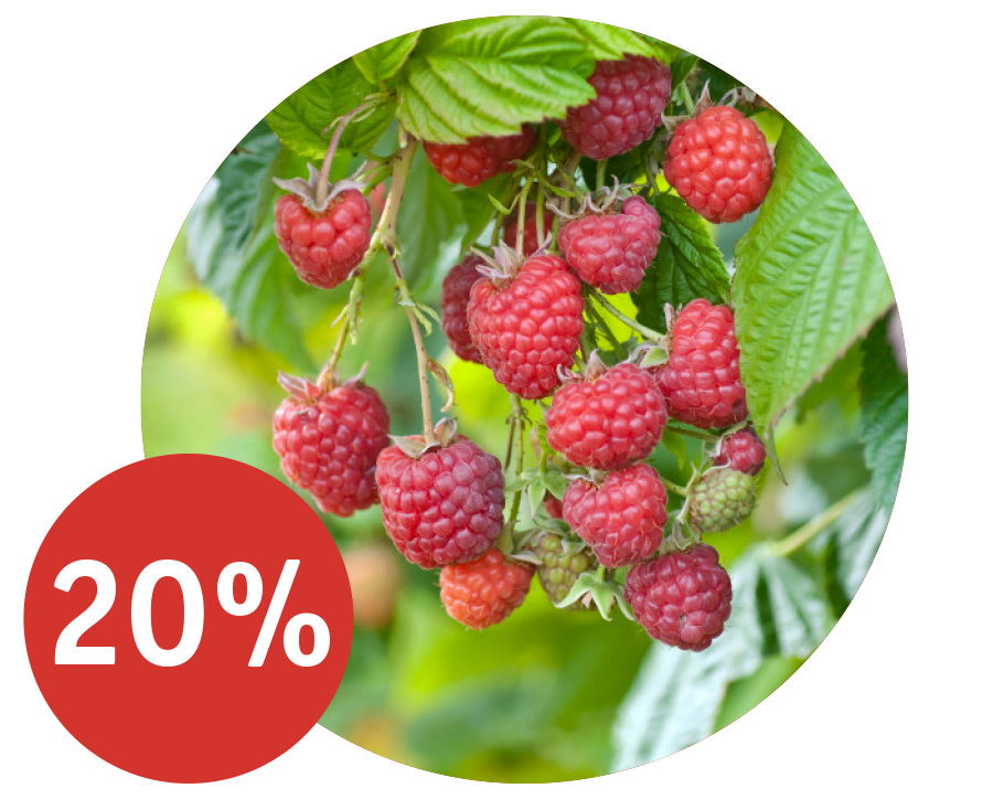 Angebot_KW17_Obstgehoelze.jpg
