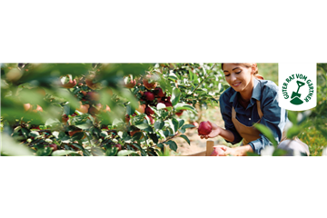 OBSTGARTEN!