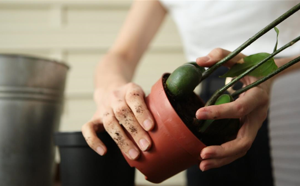 Praxis-Tipps - Nützliche Tipps und Tricks!