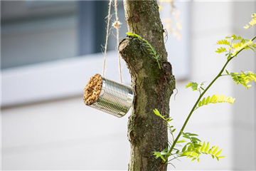 WIE GEHT... INSEKTENHOTEL?