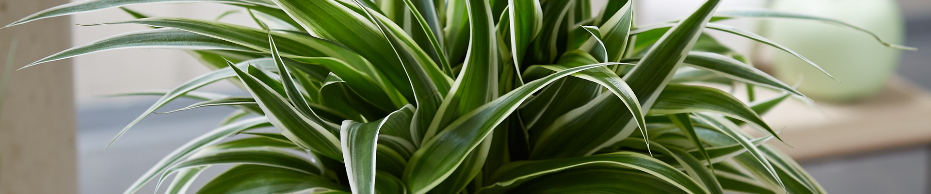 WIE GEHT... LUFTVERBESSERUNG?