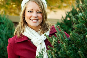 Weihnachtsbaumverkauf