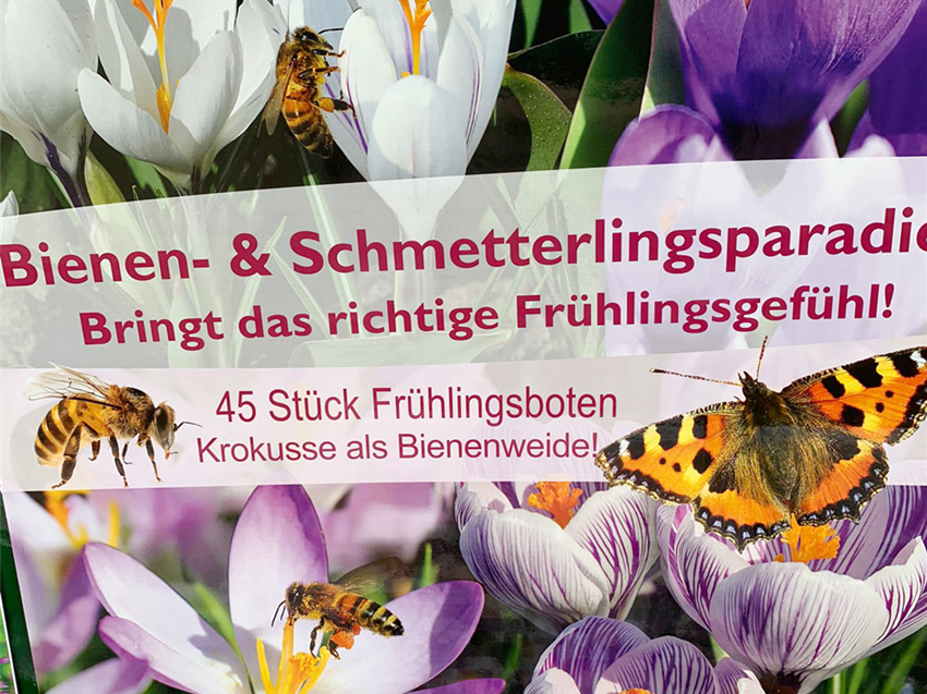 Galerie-Aussaat-Zwiebeln-bienenfreundliche-Fruehlingsblumen.jpg