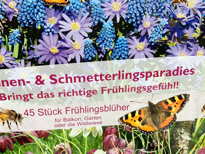 Galerie-Saat-Zwiebeln-Fruehlingsblueher-Traubenhyazinthe.jpg