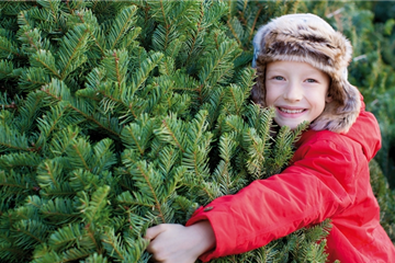 Weihnachtsbaum-Verlosung