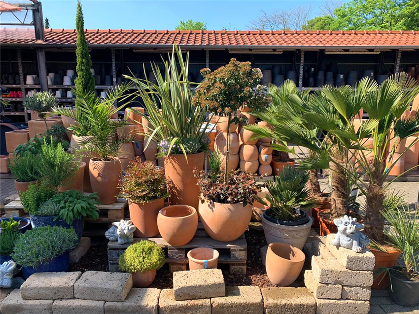 Pflanzkübel und Übertöpfe im Gartencenter Köln bei Dormagen