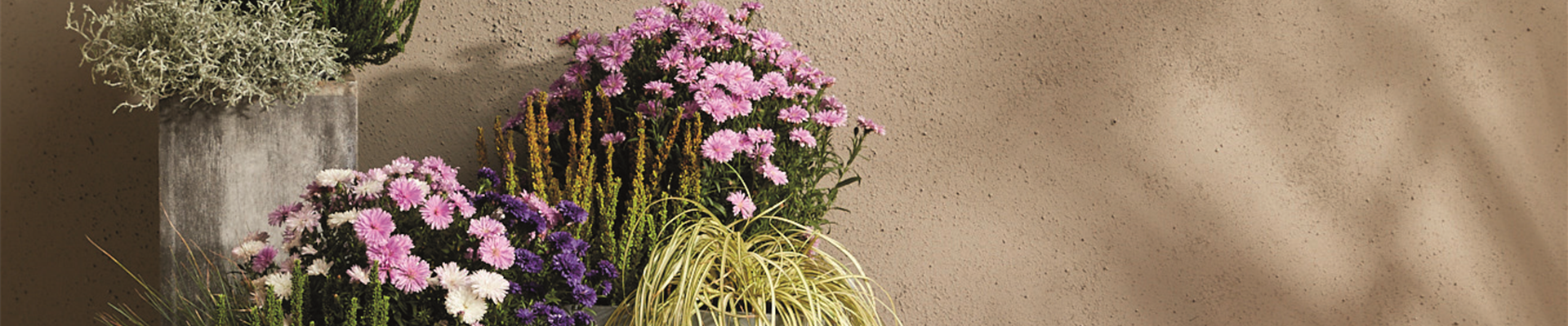 EIN KUNTERBUNTER HERBST!