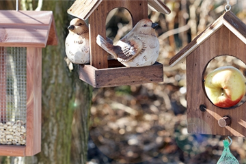Vogelhäuser & -futter