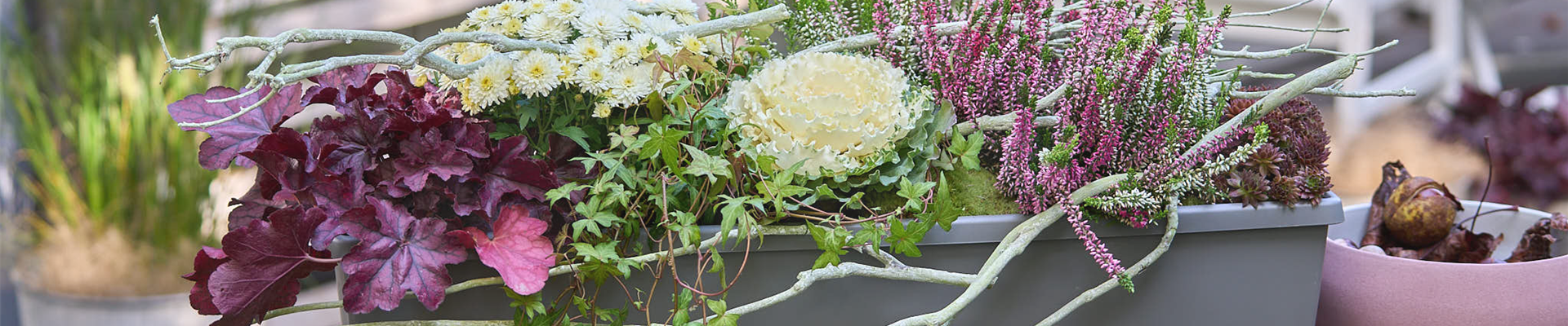 BUNT, BUNTER, HERBST!